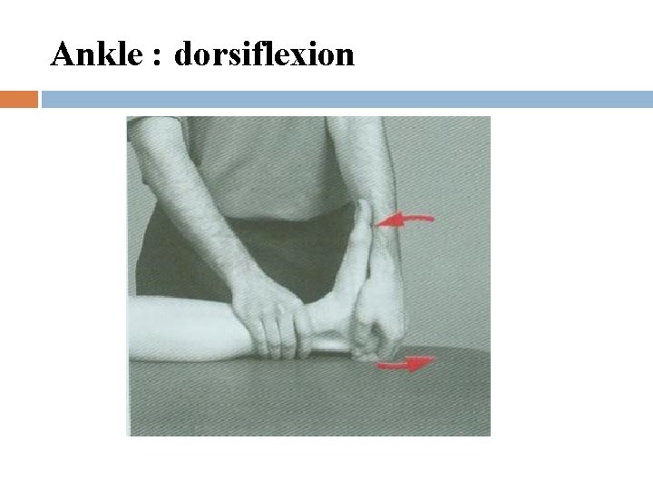 Ankle : dorsiflexion 