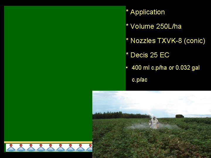 * Application * Volume 250 L/ha * Nozzles TXVK-8 (conic) * Decis 25 EC