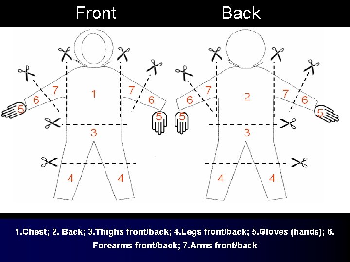 Front Back 1. Chest; 2. Back; 3. Thighs front/back; 4. Legs front/back; 5. Gloves