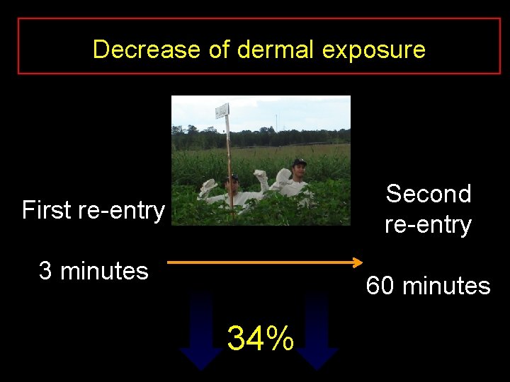 Decrease of dermal exposure Second re-entry First re-entry 3 minutes 60 minutes 34% 