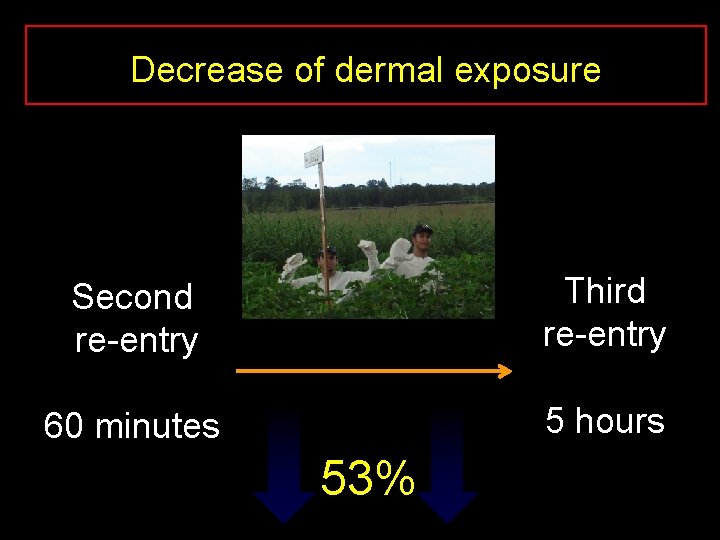 Decrease of dermal exposure Second re-entry Third re-entry 60 minutes 5 hours 53% 