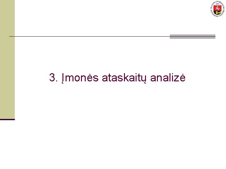 3. Įmonės ataskaitų analizė 