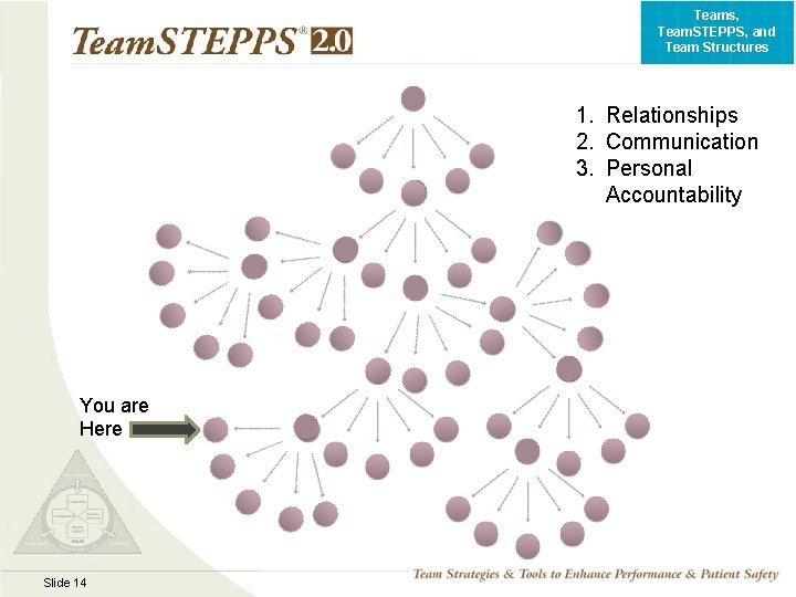 Teams, Team. STEPPS, and Team Structures 1. Relationships 2. Communication 3. Personal Accountability You