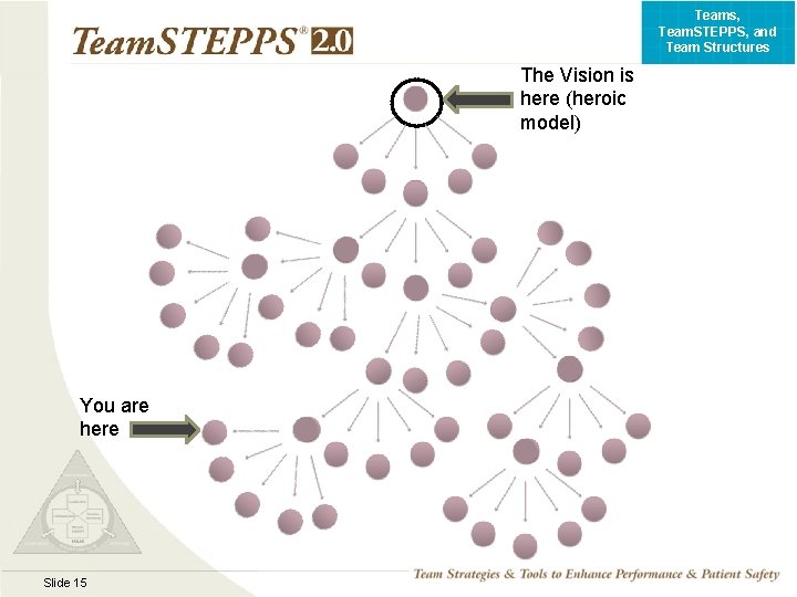 Teams, Team. STEPPS, and Team Structures The Vision is here (heroic model) You are