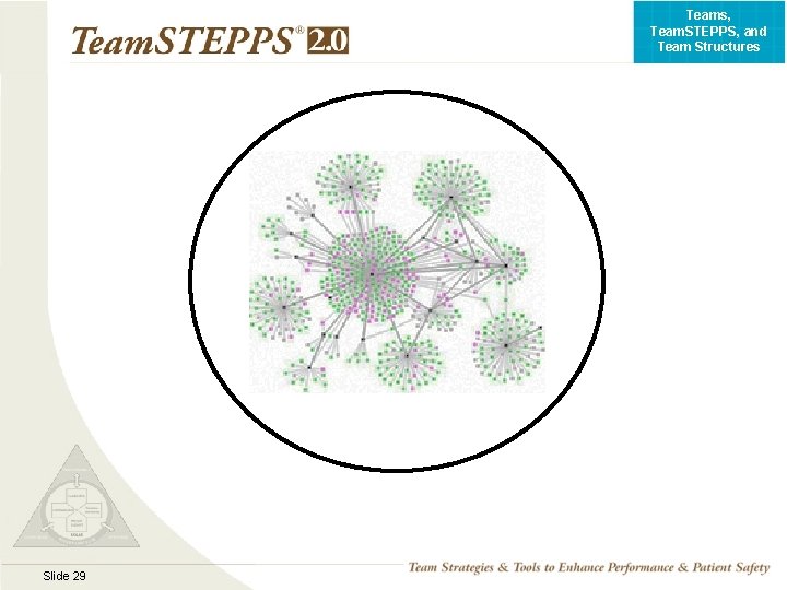 Teams, Team. STEPPS, and Team Structures Slide 29 TEAMSTEPPS 05. 2 