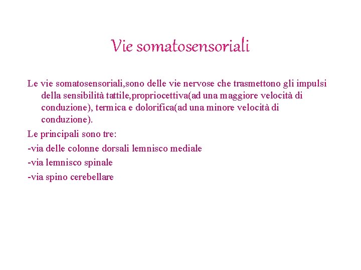 Vie somatosensoriali Le vie somatosensoriali, sono delle vie nervose che trasmettono gli impulsi della