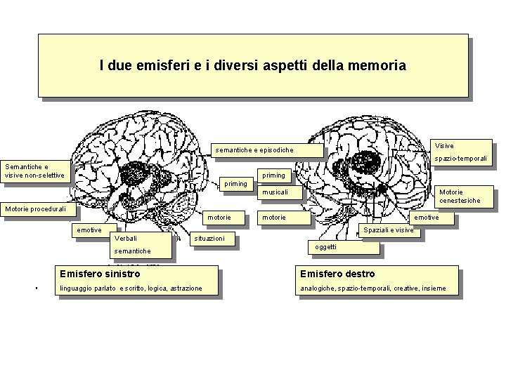 I due emisferi e i diversi aspetti della memoria Visive semantiche e episodiche spazio-temporali