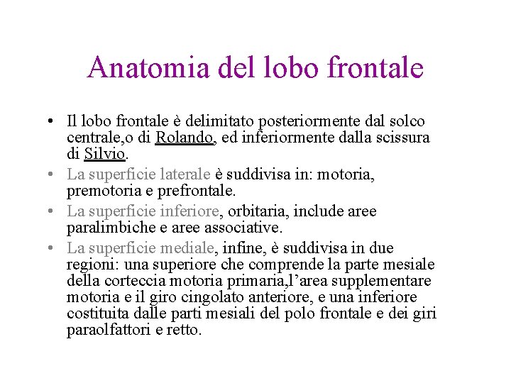 Anatomia del lobo frontale • Il lobo frontale è delimitato posteriormente dal solco centrale,