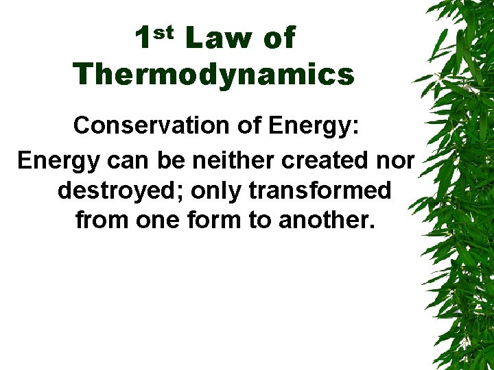 1 st Law of Thermodynamics Conservation of Energy: Energy can be neither created nor