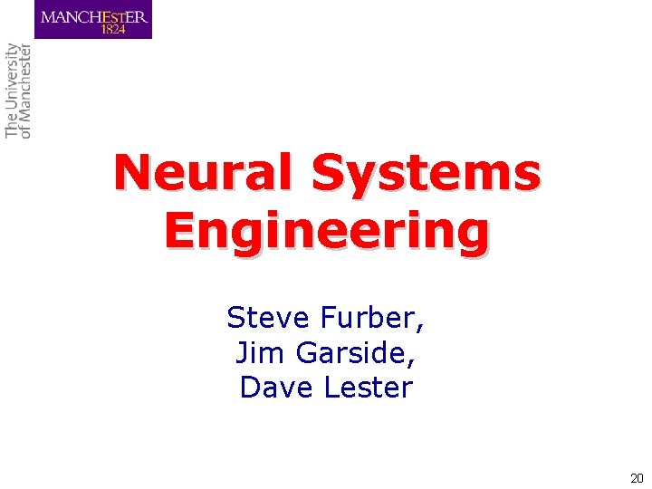 Neural Systems Engineering Steve Furber, Jim Garside, Dave Lester 20 