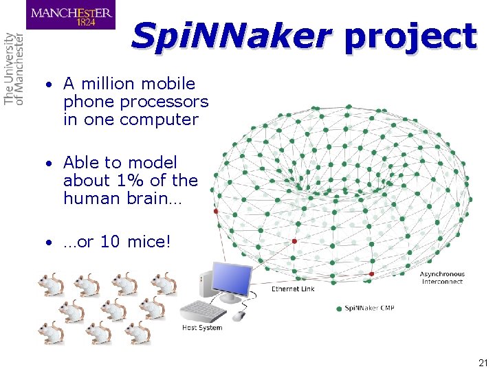 Spi. NNaker project • A million mobile phone processors in one computer • Able