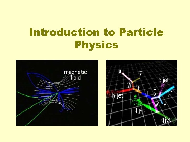 Introduction to Particle Physics 