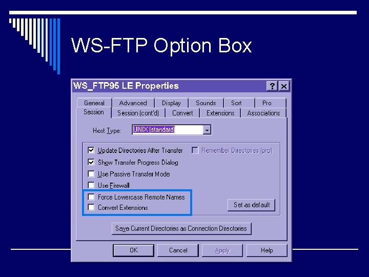 WS-FTP Option Box 