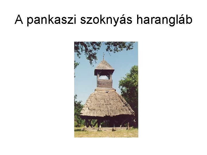 A pankaszi szoknyás harangláb 