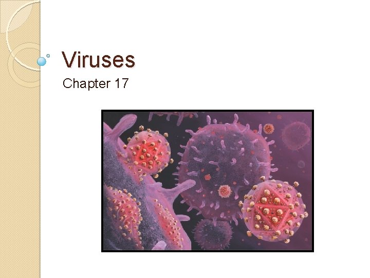 Viruses Chapter 17 