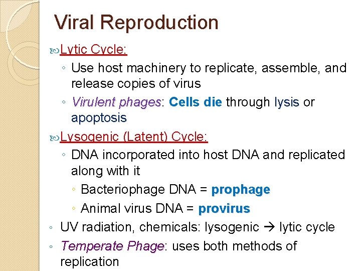 Viral Reproduction Lytic Cycle: ◦ Use host machinery to replicate, assemble, and release copies