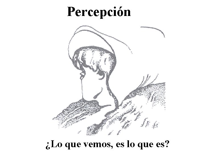 Percepción ¿Lo que vemos, es lo que es? 