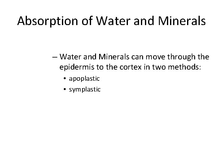 Absorption of Water and Minerals – Water and Minerals can move through the epidermis