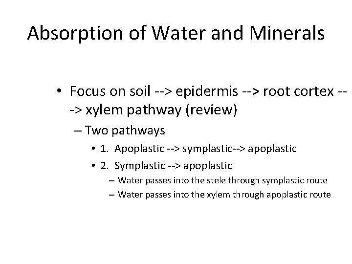 Absorption of Water and Minerals • Focus on soil --> epidermis --> root cortex