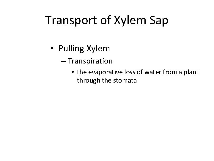 Transport of Xylem Sap • Pulling Xylem – Transpiration • the evaporative loss of