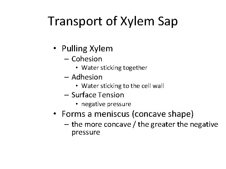 Transport of Xylem Sap • Pulling Xylem – Cohesion • Water sticking together –