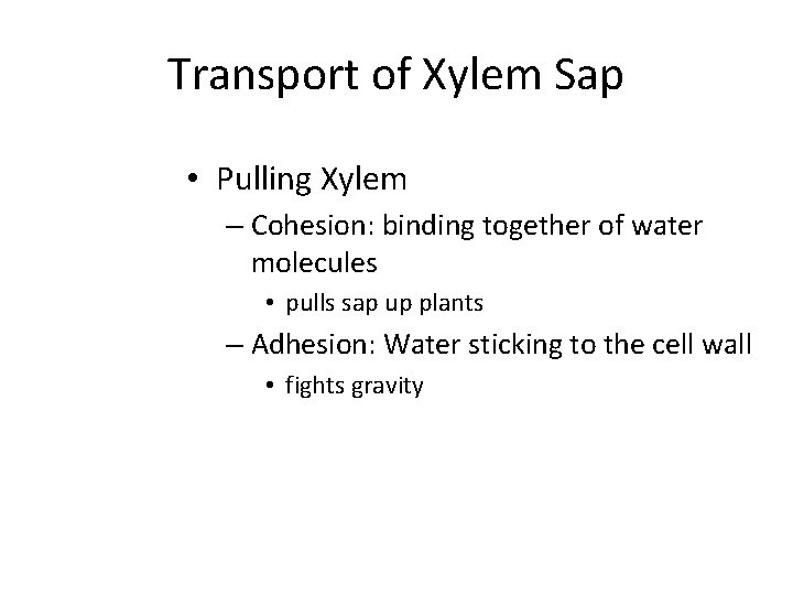Transport of Xylem Sap • Pulling Xylem – Cohesion: binding together of water molecules