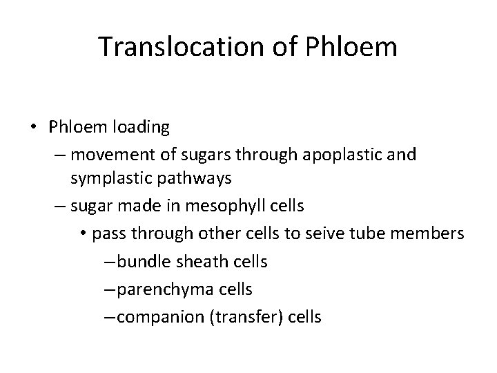 Translocation of Phloem • Phloem loading – movement of sugars through apoplastic and symplastic