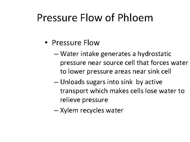 Pressure Flow of Phloem • Pressure Flow – Water intake generates a hydrostatic pressure