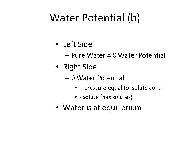 Water Potential (b) • Left Side – Pure Water = 0 Water Potential •