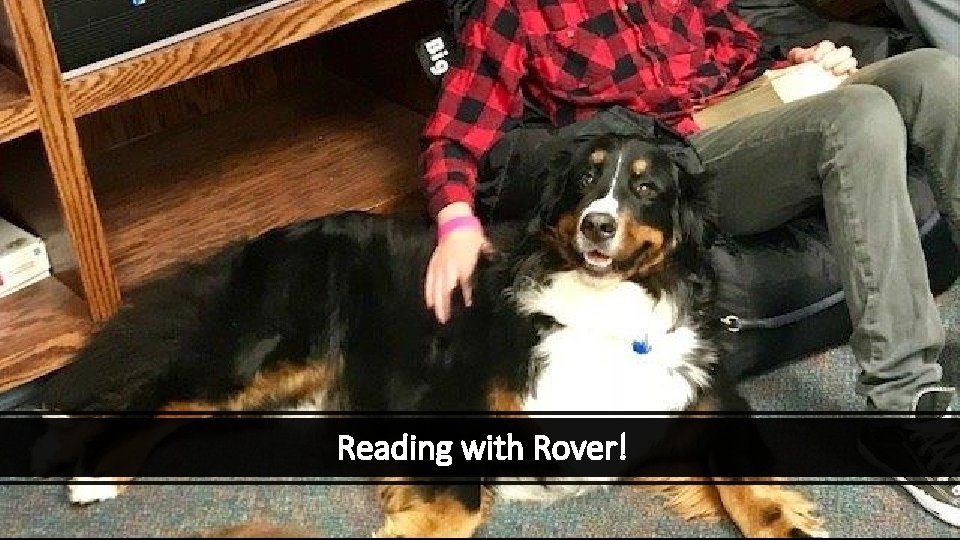 Reading with Rover! 