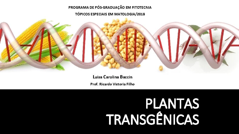 PROGRAMA DE PÓS-GRADUAÇÃO EM FITOTECNIA TÓPICOS ESPECIAIS EM MATOLOGIA/2018 Luisa Carolina Baccin Prof. Ricardo