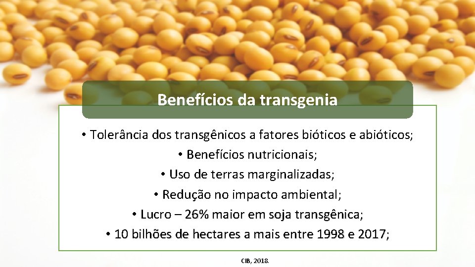 Benefícios da transgenia • Tolerância dos transgênicos a fatores bióticos e abióticos; • Benefícios