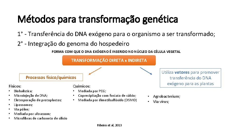 Métodos para transformação genética 1° - Transferência do DNA exógeno para o organismo a