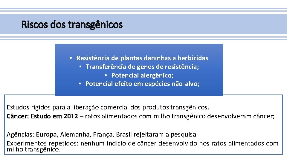 Riscos dos transgênicos • Resistência de plantas daninhas a herbicidas • Transferência de genes