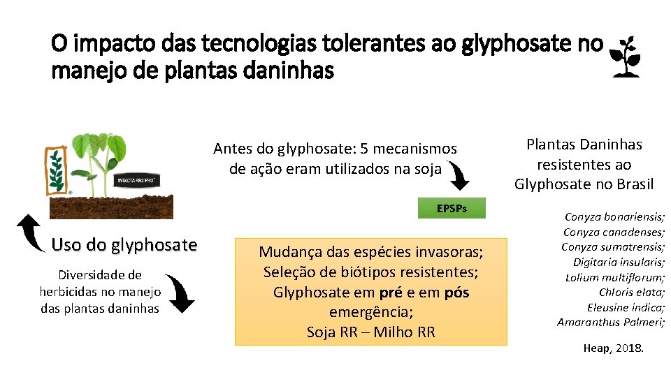 O impacto das tecnologias tolerantes ao glyphosate no manejo de plantas daninhas Antes do