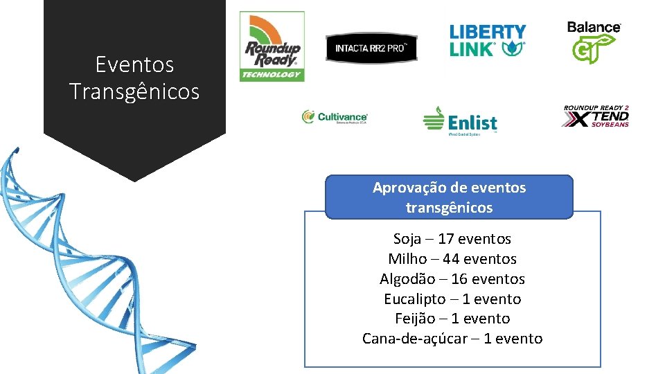 Eventos Transgênicos Aprovação de eventos transgênicos Soja – 17 eventos Milho – 44 eventos