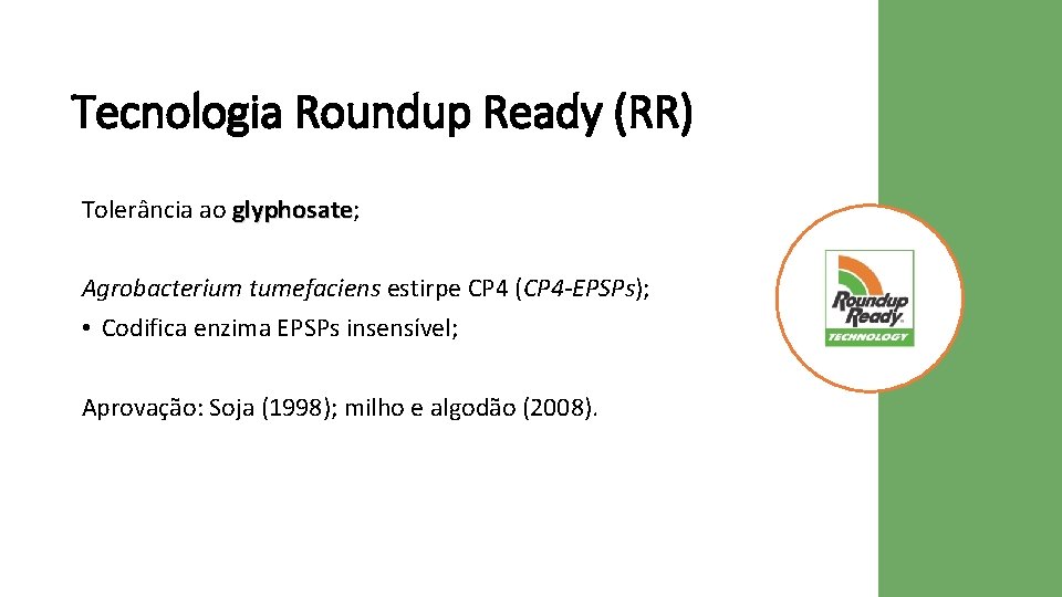 Tecnologia Roundup Ready (RR) Tolerância ao glyphosate; glyphosate Agrobacterium tumefaciens estirpe CP 4 (CP