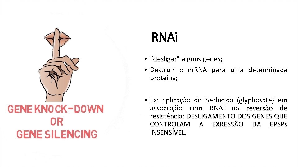 RNAi • “desligar” alguns genes; desligar • Destruir o m. RNA para uma determinada