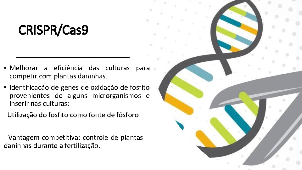 CRISPR/Cas 9 • Melhorar a eficiência das culturas para competir com plantas daninhas. •