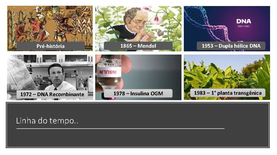 Pré-história 1865 – Mendel 1972 – DNA Recombinante 1978 – Insulina OGM Linha do