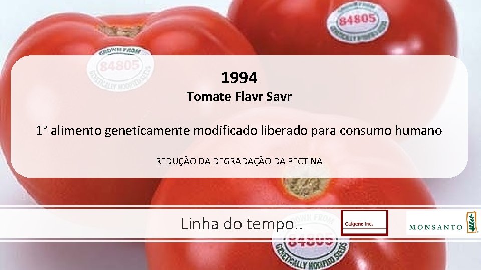 1994 Tomate Flavr Savr 1° alimento geneticamente modificado liberado para consumo humano REDUÇÃO DA