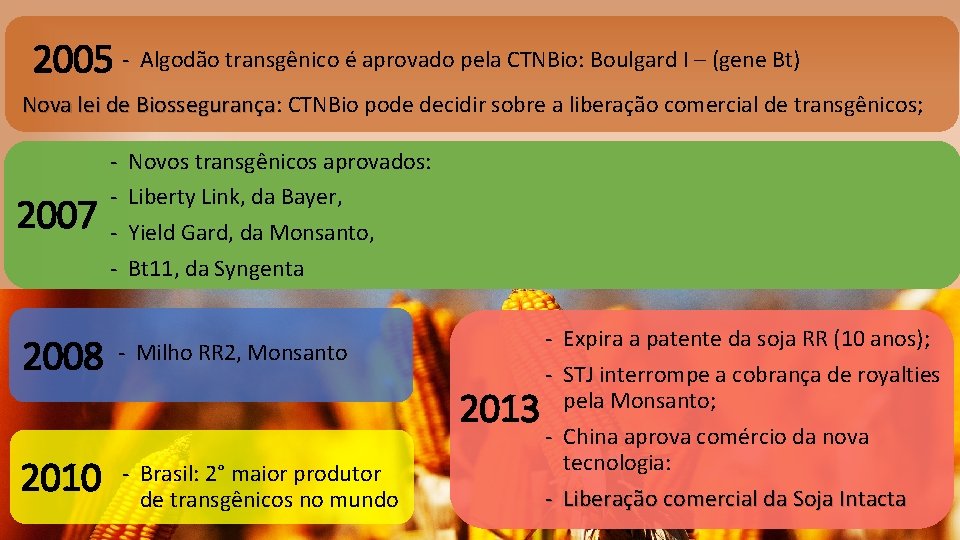 2005 - Algodão transgênico é aprovado pela CTNBio: Boulgard I – (gene Bt) Nova