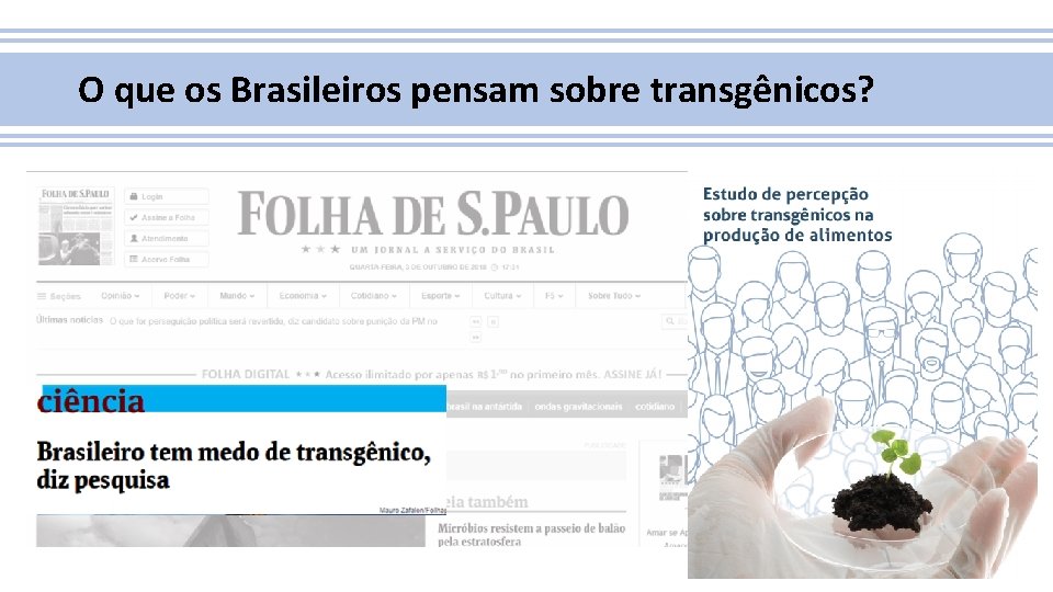 O que os Brasileiros pensam sobre transgênicos? 