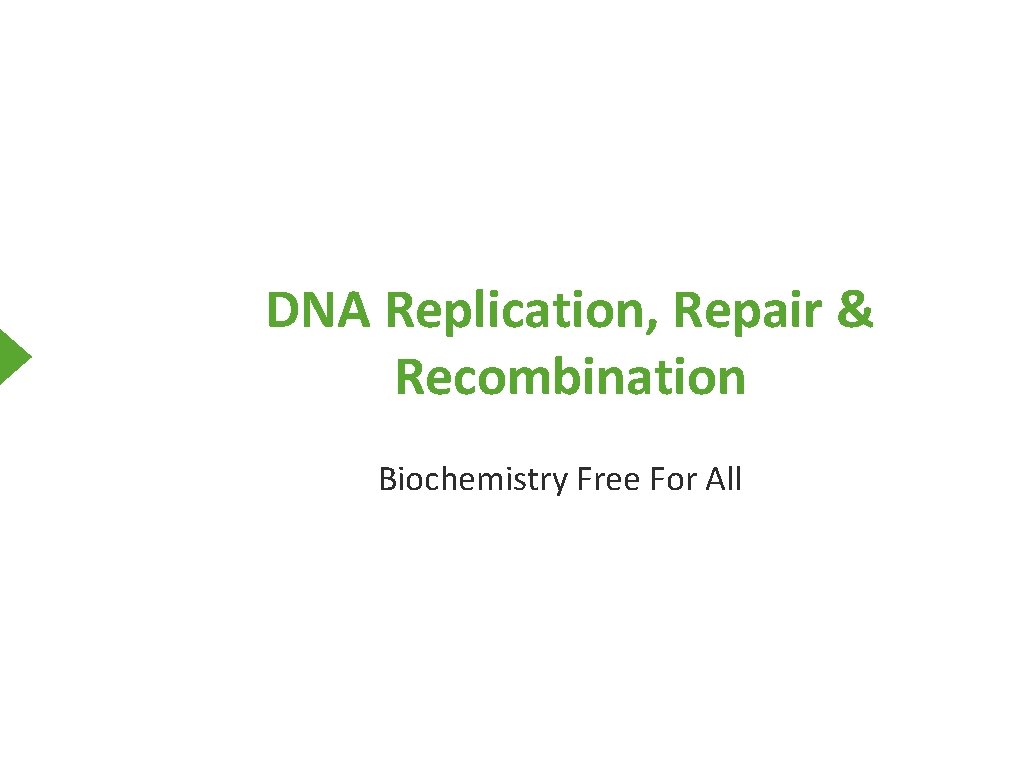 DNA Replication, Repair & Recombination Biochemistry Free For All 