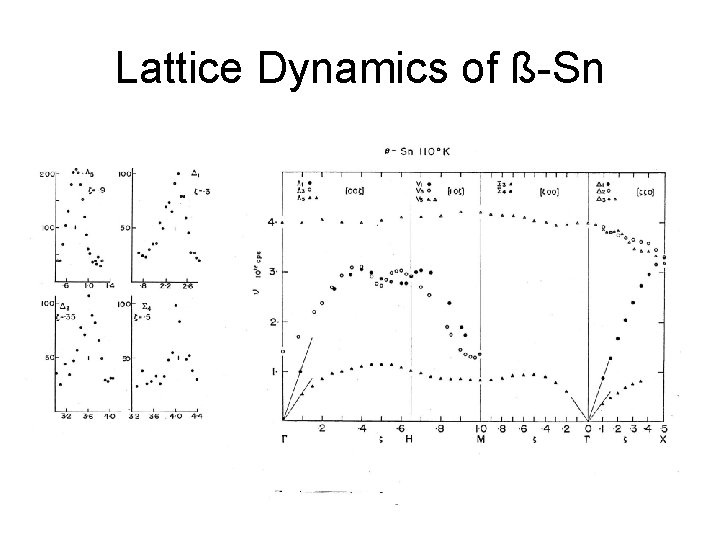 Lattice Dynamics of ß-Sn 