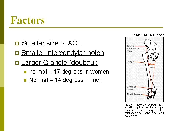 Factors Smaller size of ACL p Smaller intercondylar notch p Larger Q-angle (doubtful) p