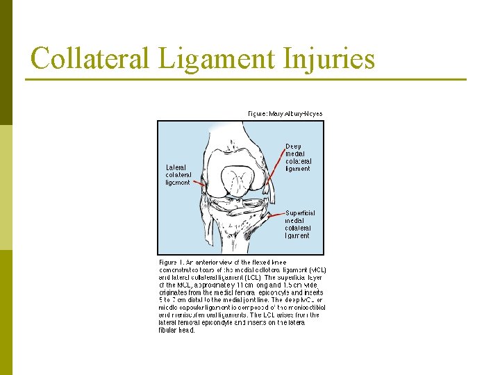 Collateral Ligament Injuries 