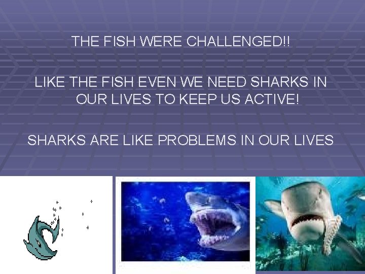 THE FISH WERE CHALLENGED!! LIKE THE FISH EVEN WE NEED SHARKS IN OUR LIVES