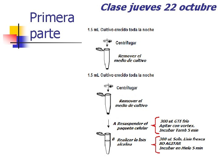 Primera parte Clase jueves 22 octubre 