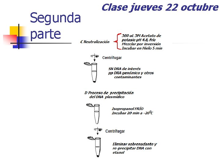 Segunda parte Clase jueves 22 octubre 